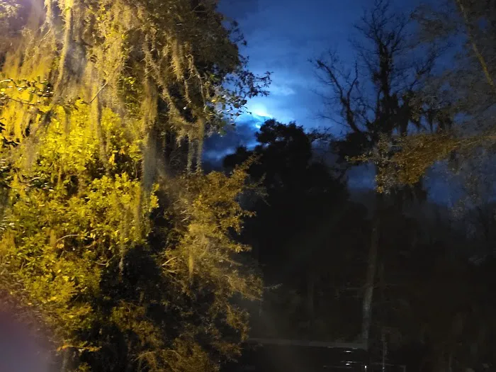 Faver-Dykes State Park Campground Picture 9