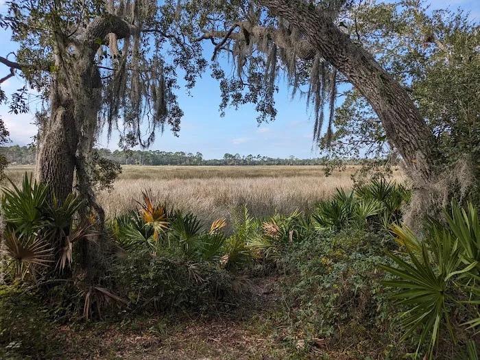 Faver-Dykes State Park Campground Picture 8