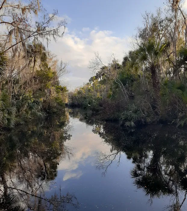 Pellicer Creek Campground Picture 1