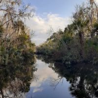Pellicer Creek Campground ico