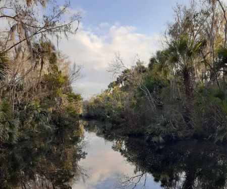 Pellicer Creek Campground