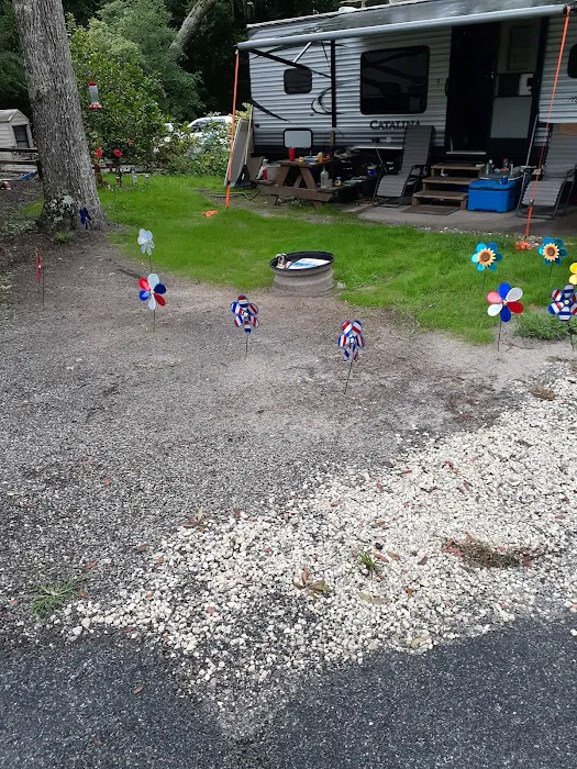 Pellicer Creek Campground Picture 2