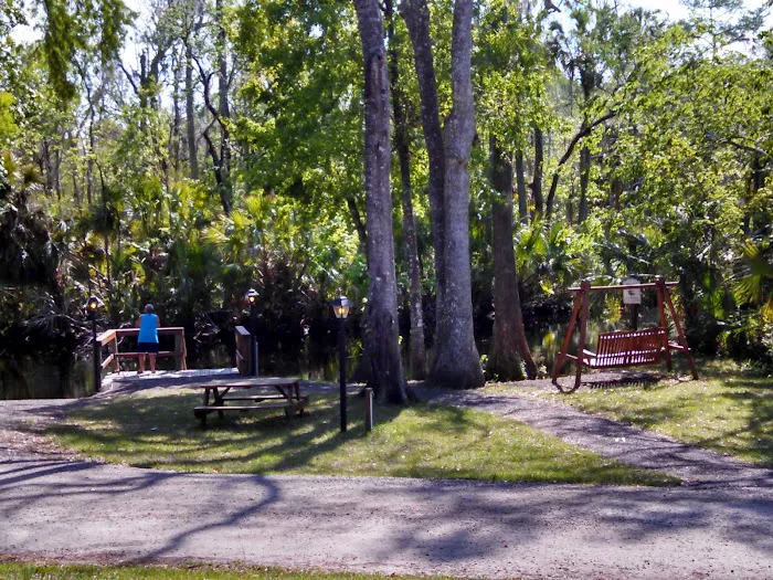 Pellicer Creek Campground Picture 4