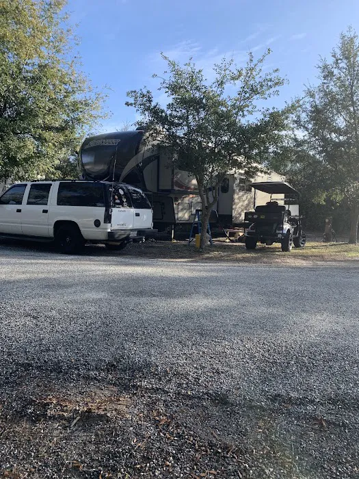 Pellicer Creek Campground Picture 10