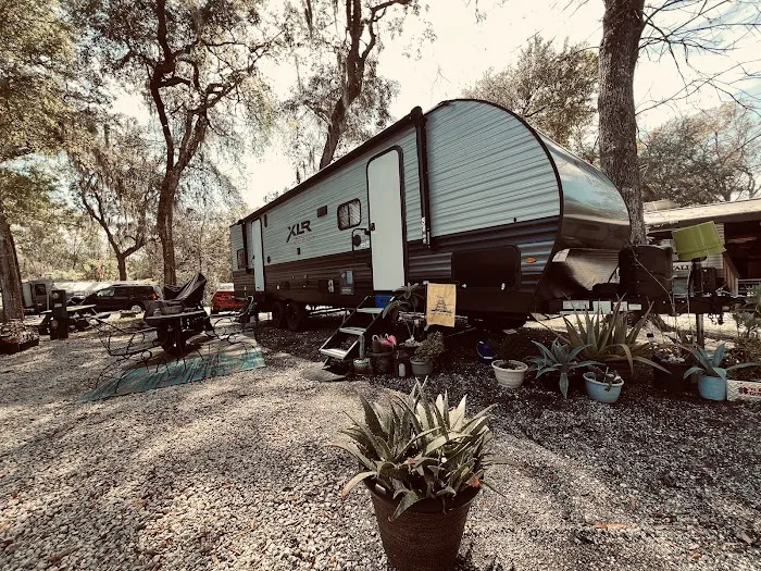 Pellicer Creek Campground Picture 7