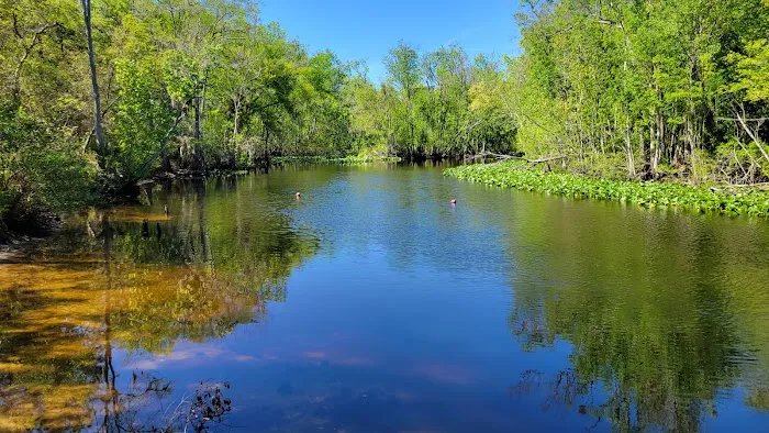 Davenport Landing Trailhead, Ocala National Forest Picture 5