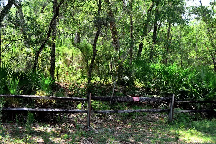 Davenport Landing Trailhead, Ocala National Forest Picture 1