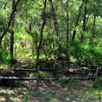 Davenport Landing Trailhead, Ocala National Forest ico