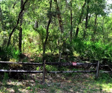 Davenport Landing Trailhead, Ocala National Forest