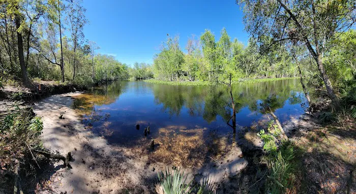 Davenport Landing Trailhead, Ocala National Forest Picture 3