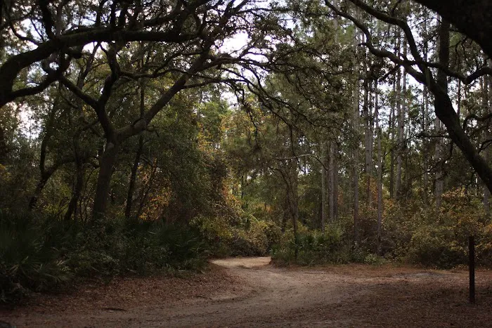 Davenport Landing Trailhead, Ocala National Forest Picture 4