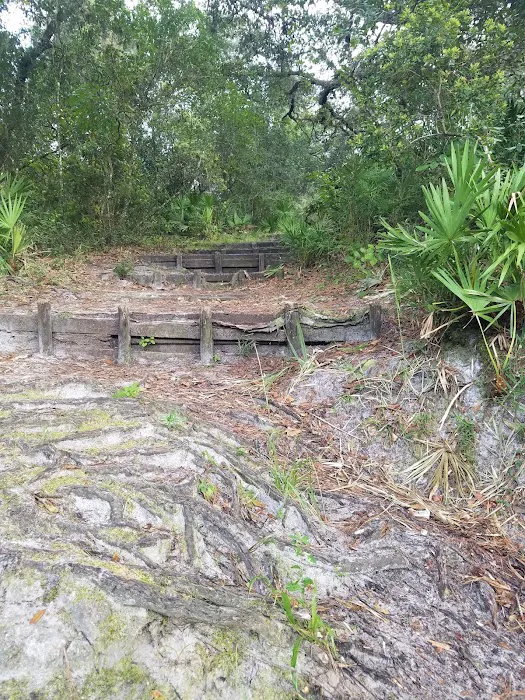 Davenport Landing Trailhead, Ocala National Forest Picture 9