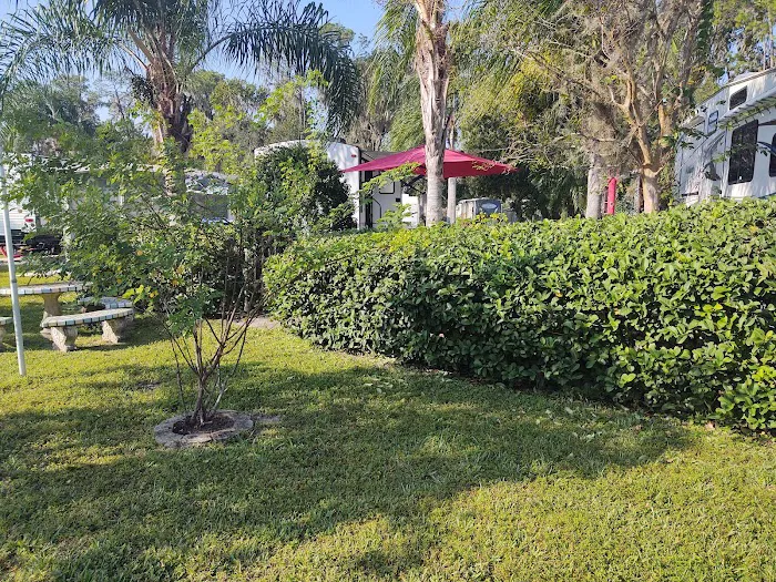 Lazy Days Camp Resort Picture 3