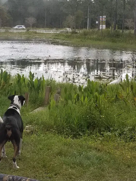 Thunder Gulch Picture 3