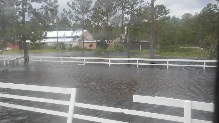 Thunder Gulch Picture 7