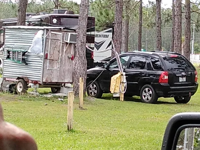 Thunder Gulch Picture 8