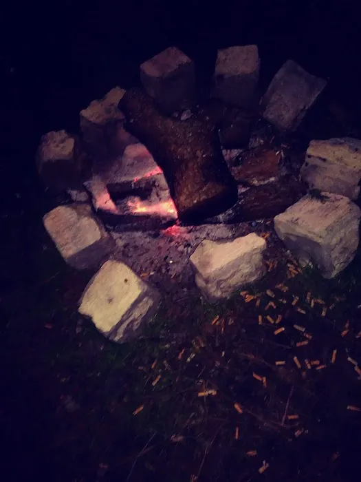 Thunder Gulch Picture 10