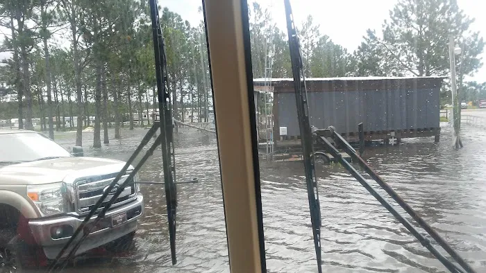 Thunder Gulch Picture 9