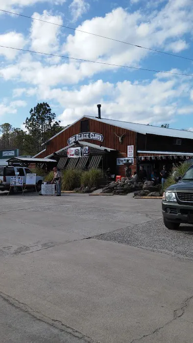 Thunder Gulch Picture 4