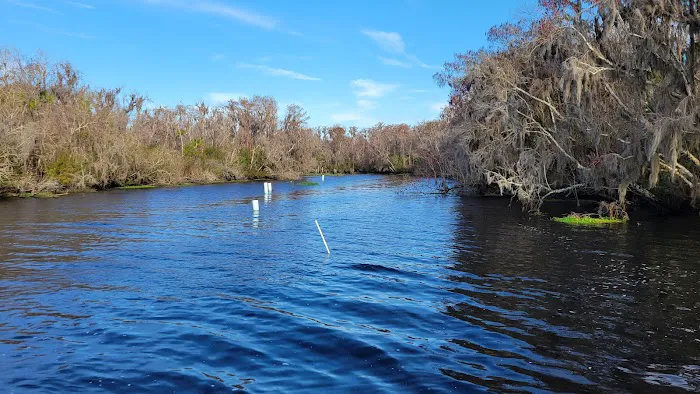 Bull Creek Campground Picture 6
