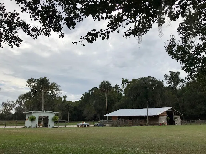 Collins Farm Picture 4