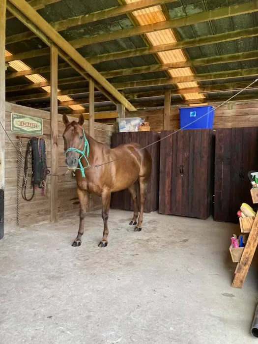 Collins Farm Picture 1