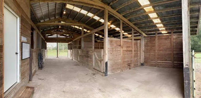 Collins Farm Picture 7