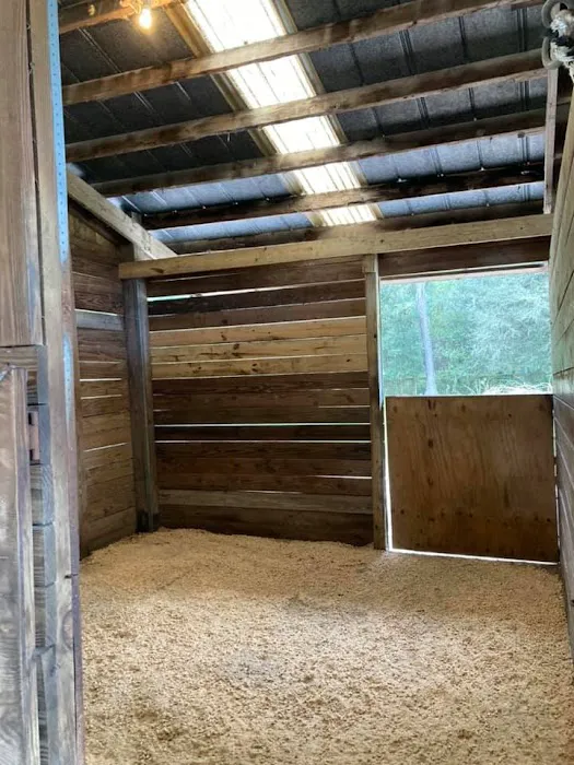 Collins Farm Picture 9