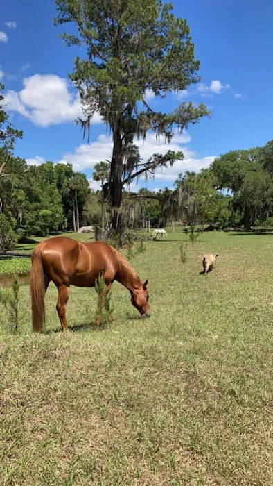 Collins Farm Picture 5