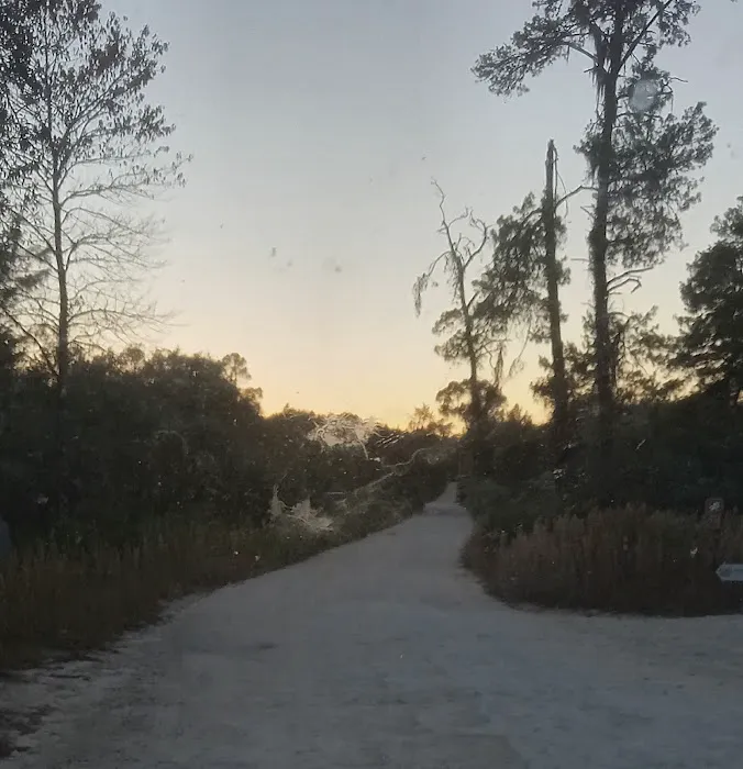 Lake Delancy West OHV Campground Picture 6