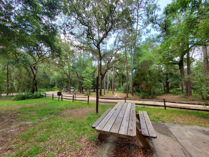 Lake Delancy West OHV Campground Picture 2