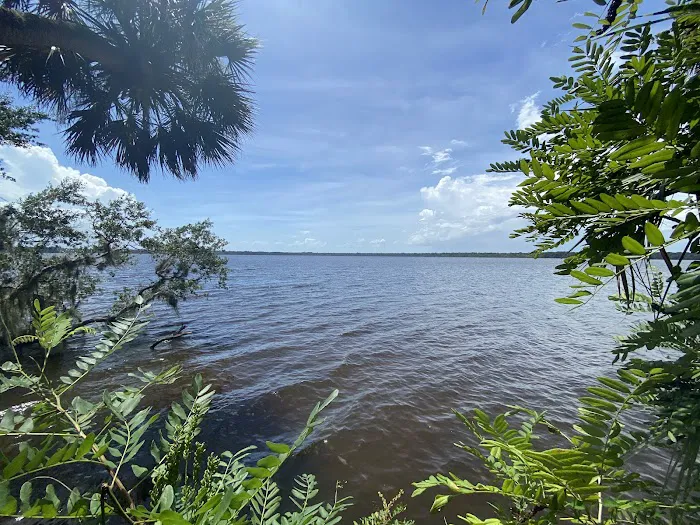 Orange Point - Welaka State Forest Picture 5