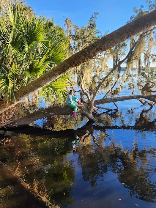 Orange Point - Welaka State Forest Picture 3