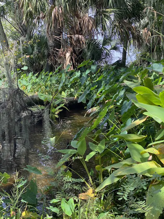 Orange Point - Welaka State Forest Picture 4