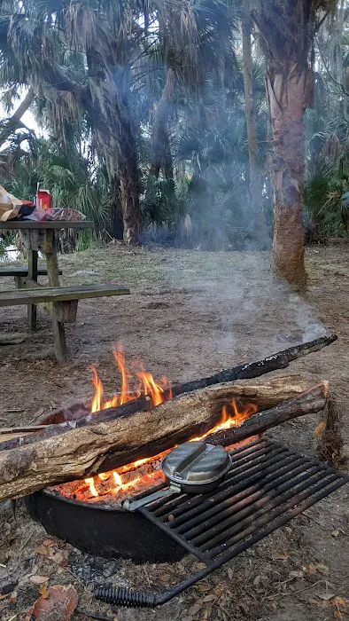 Orange Point - Welaka State Forest Picture 1