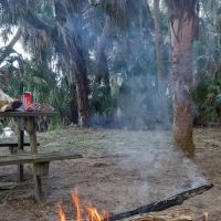 Orange Point - Welaka State Forest ico