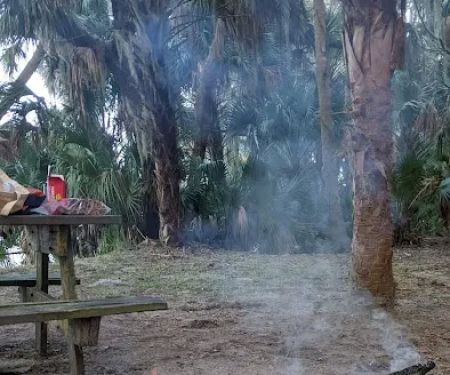 Orange Point - Welaka State Forest