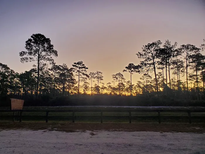 Orange Point - Welaka State Forest Picture 8