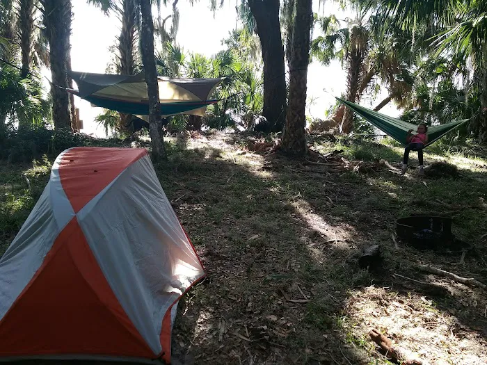 Orange Point - Welaka State Forest Picture 7