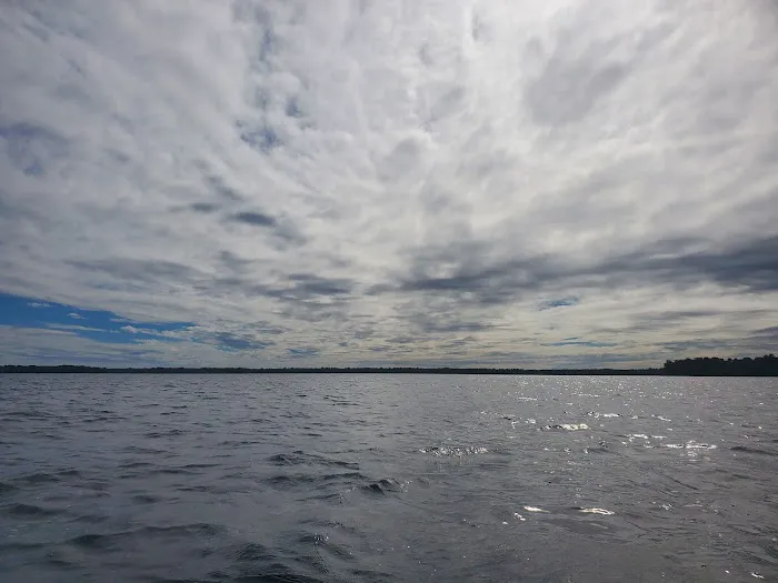 Orange Point - Welaka State Forest Picture 9