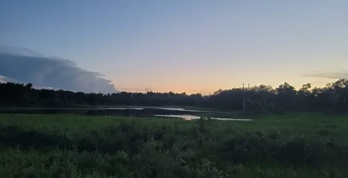 The Alencar Ranch Picture 3