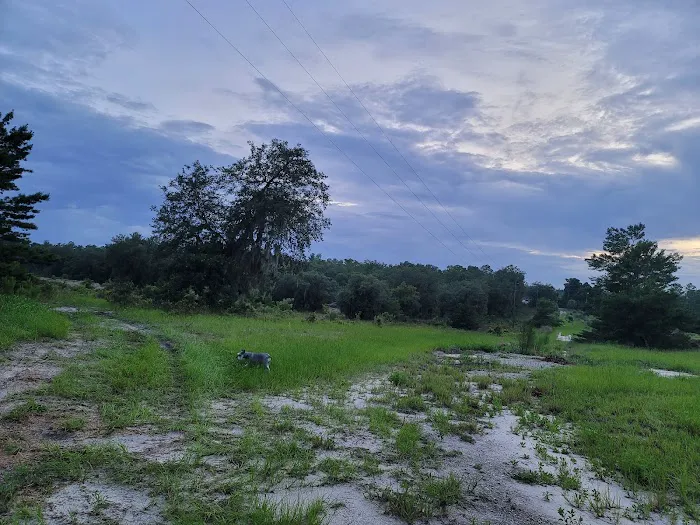 The Alencar Ranch Picture 2