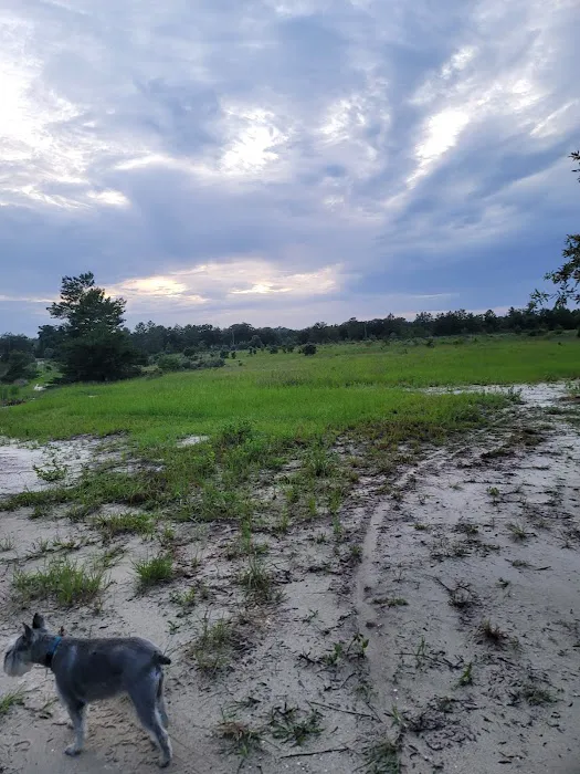 The Alencar Ranch Picture 1