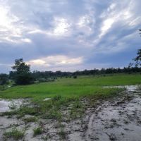 The Alencar Ranch ico