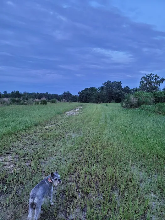 The Alencar Ranch Picture 6