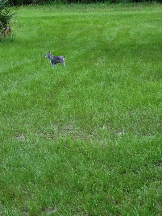 The Alencar Ranch Picture 7