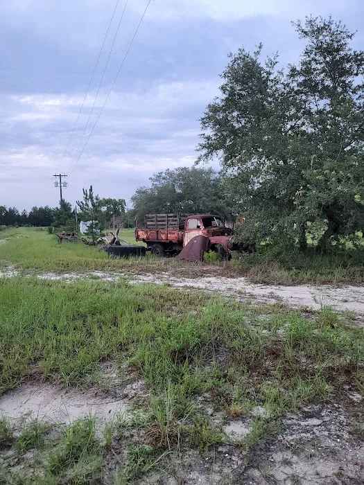 The Alencar Ranch Picture 5