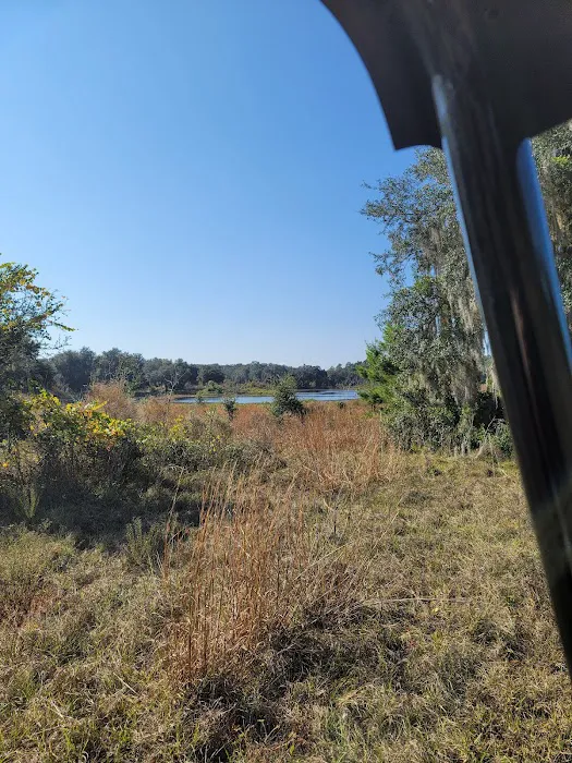 The Alencar Ranch Picture 9