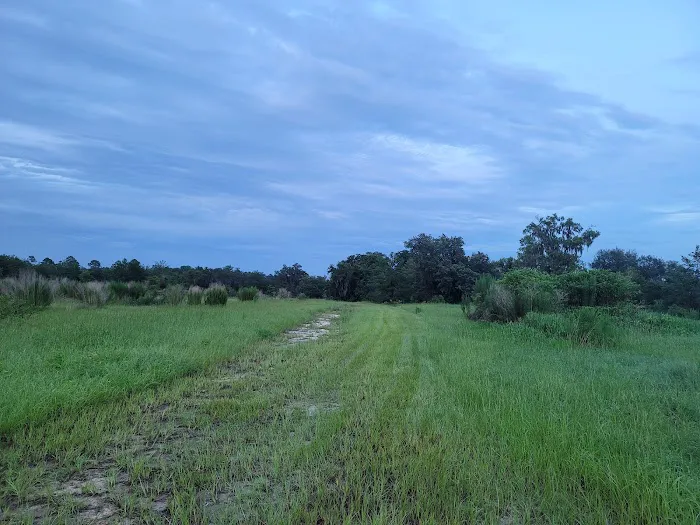 The Alencar Ranch Picture 10