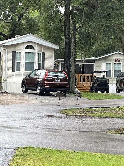 Lake Kerr Rentals at Salt Springs Resort Picture 1